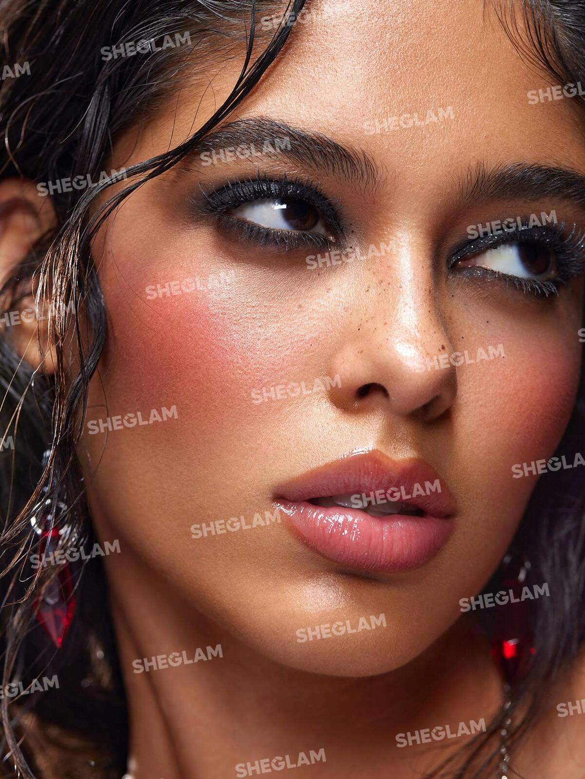 SHEGLAM monarch wings Ombré blush- extra pigmented powder blush and highlighter duo