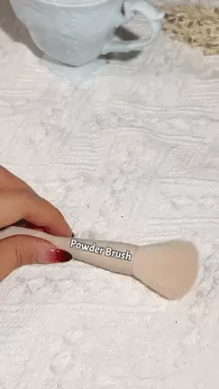 SHEGLAM pro core brush set